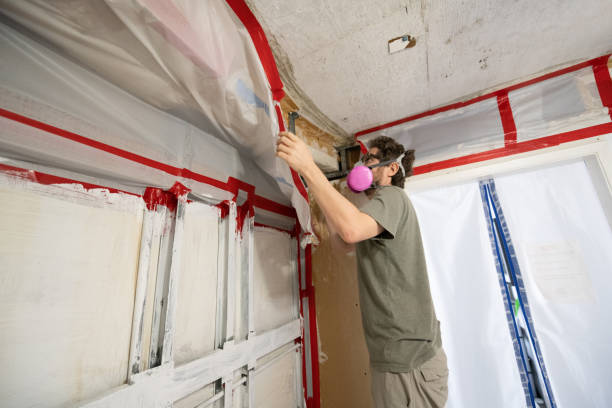 Best Industrial Mold Remediation  in Blennerhassett, WV