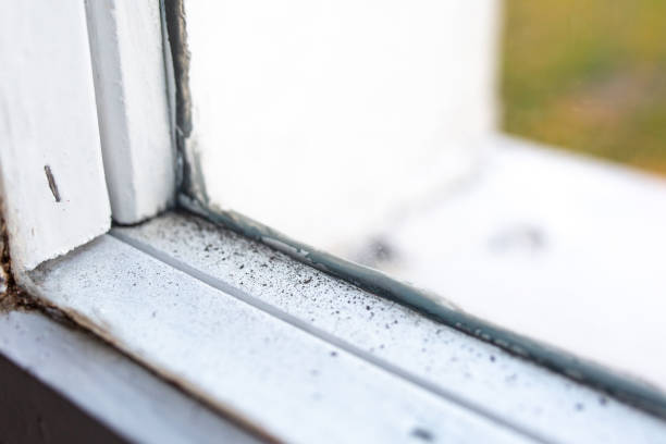 Best Residential Mold Inspection & Testing  in Blennerhassett, WV