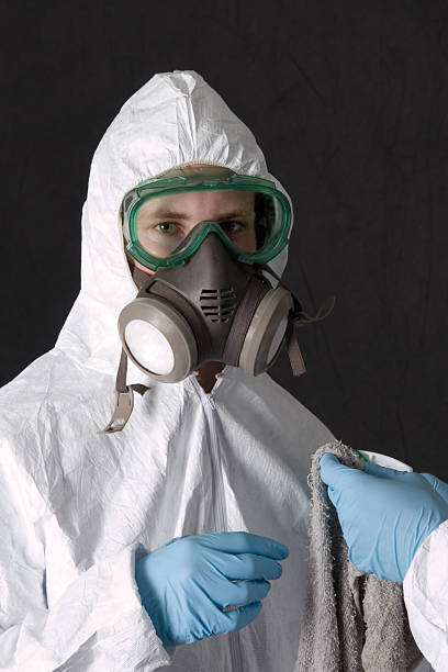  Blennerhassett, WV Mold Removal Pros